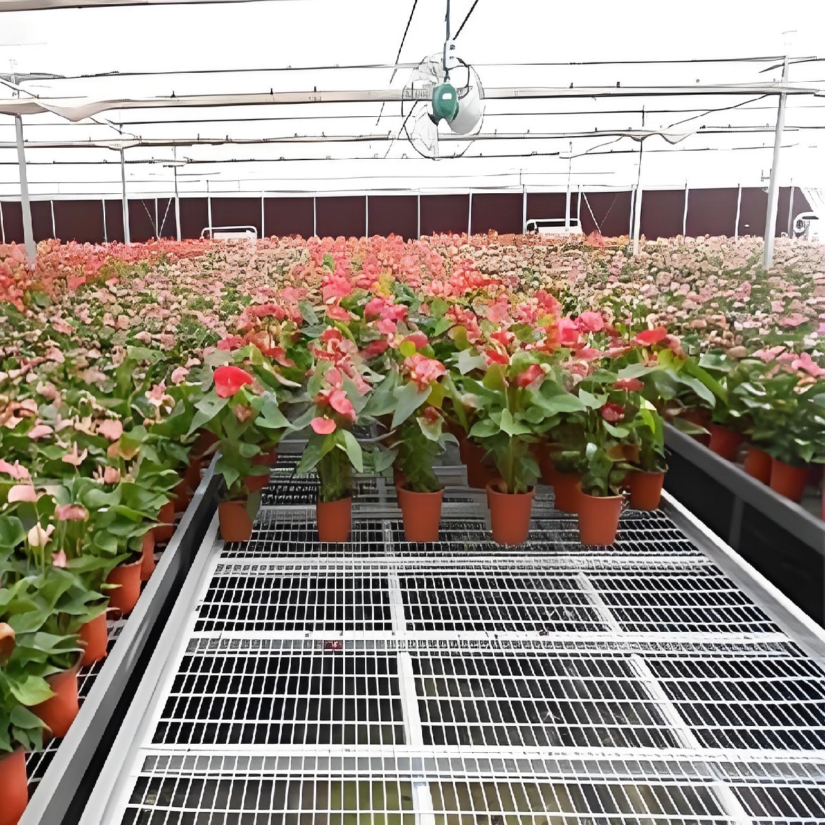 welding mesh for plants holder